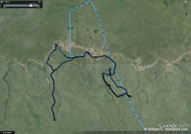 280-Game Drive Track in Serengeti