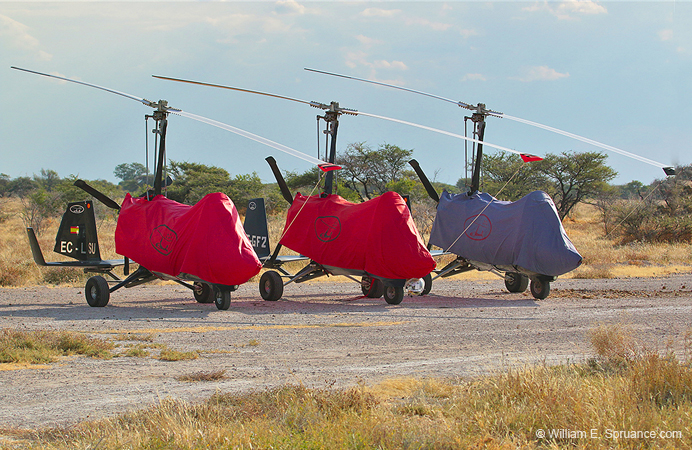 300-Gyro-Copters at the Ready  70D2-4163