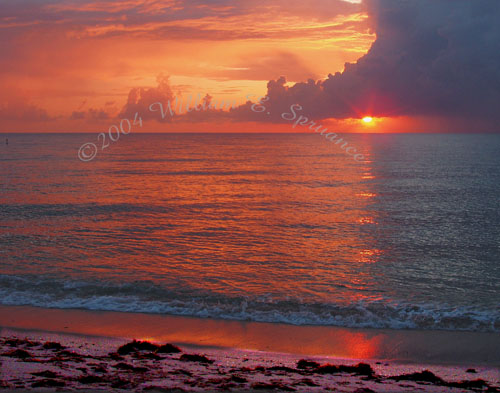 Lauderdale-Beach-2-P4170030