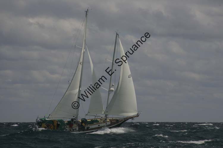 NG7A5553