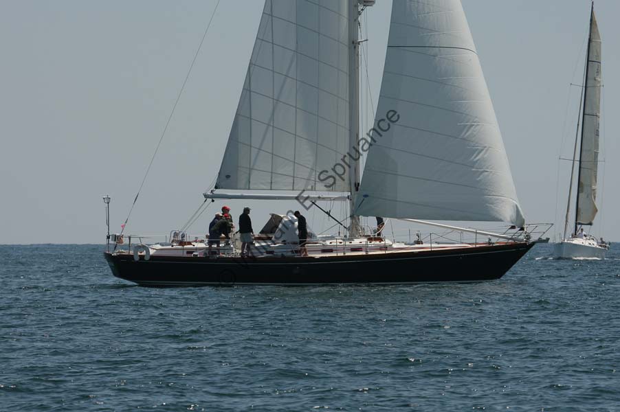 Z6U5B6594