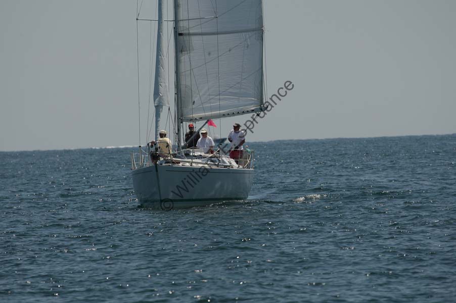 Z6U5B6595