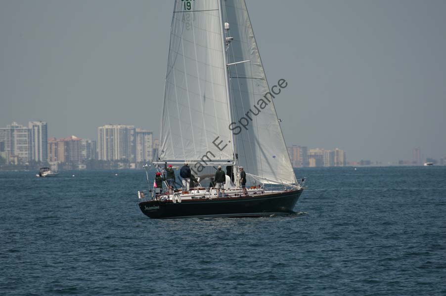 Z6U5B6634