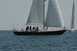 Z6U5B6594