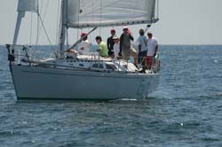 Z6U5B6596