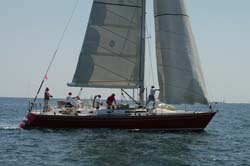 Z6U5B6616