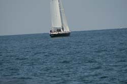 Z6U5B6644