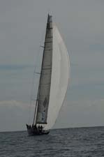 6U5B4239