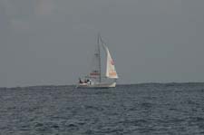 6U5B4325