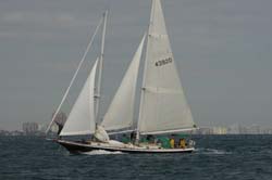 9U5B2237