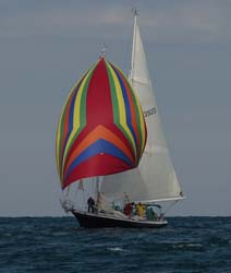 9U5B2361