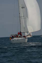 9U5B2365