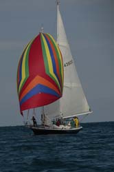 9U5B2367