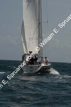 9U5B4549