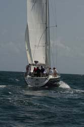9U5B4549