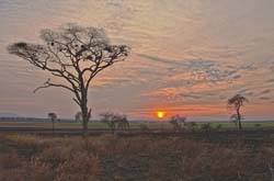 043-Sun Downers Sunset -11U5B3887