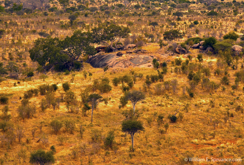 67-Landscape - 3997