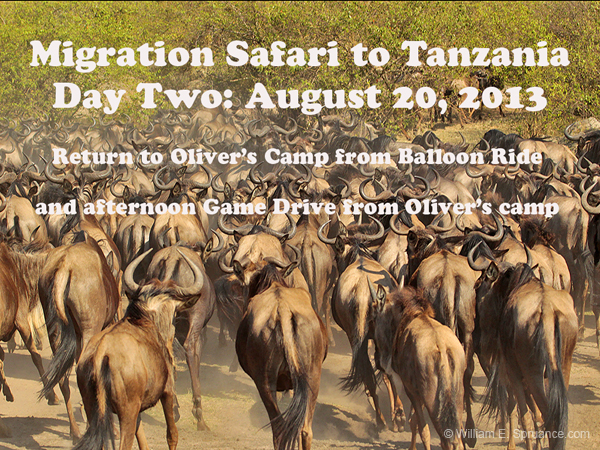 083-Day 2 Return to Olivers Camp - 2J8E0797