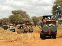 109-Five Other Safari Vehicles  5J8E7230