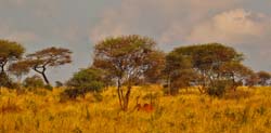 140-Landscape 5J8E7447