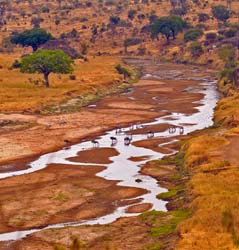 153-African Landscape 5J8E7518