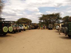 155-Picnic Parking Lot G11-3015