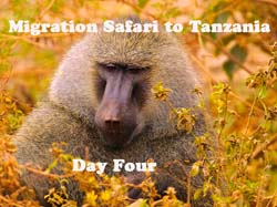 185-Day Four - 5J8E7765