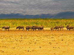 218-Dry Lake Bed 5J8E7901