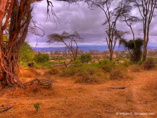 253-Crater Floor Landscape  11U5B4317