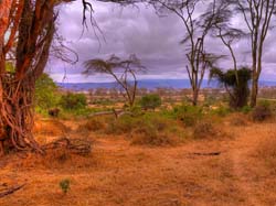 253-Crater Floor Landscape  11U5B4317