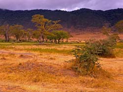 257-Crater Floor Landscape  11U5B4332