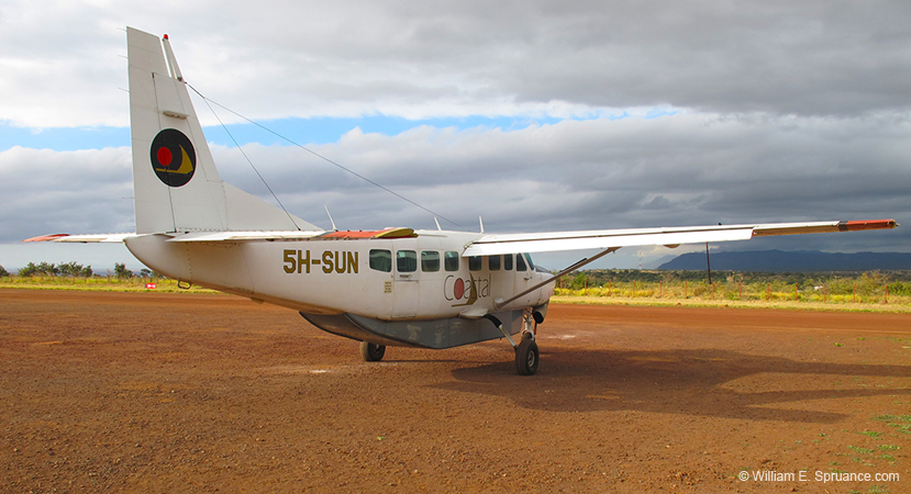 276-Flight to Serengeti  G11-3139