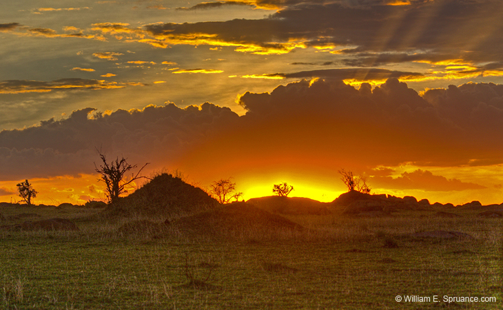 304-Sunset Landscape  5J8E9104