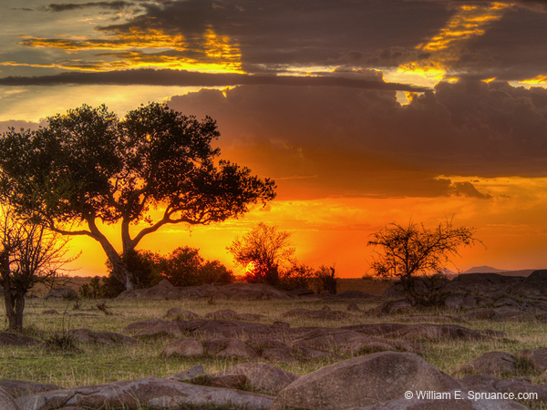 305-Sunset Landscape  5J8E9139