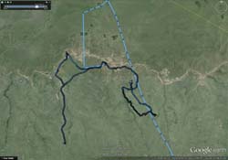 280-Game Drive Track in Serengeti