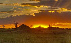 304-Sunset Landscape  5J8E9104