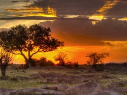 305-Sunset Landscape  5J8E9139