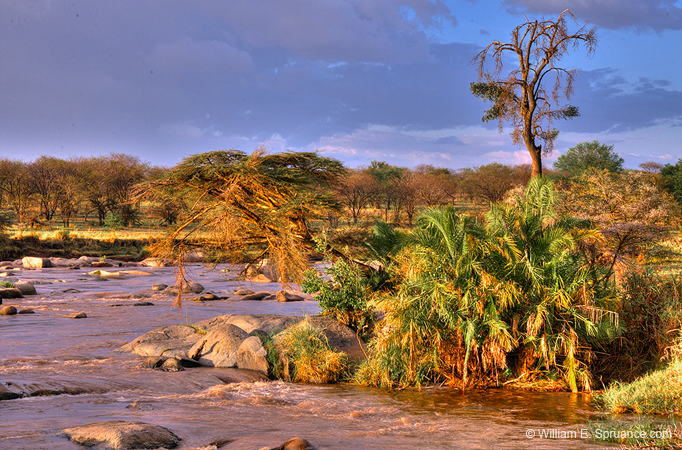324-The Mara River  11U5B4663,