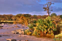 324-The Mara River  11U5B4663,