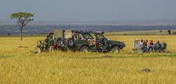 386-Picnic on the Serengeti  5J8E9734