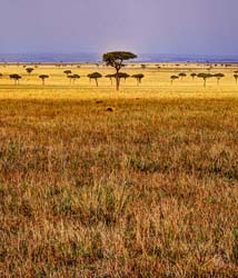 389-Plains Landscape  11U5B4688