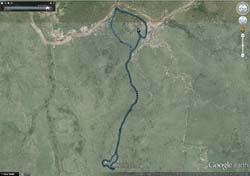 409-Afternoon Game Track -2