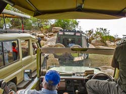 418-Leropard Parking Lot  G11-9938