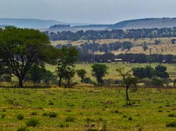 422-African Landscape  6J8E0235