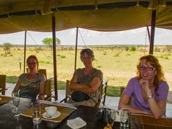 428-New Arrivals  G11-9945