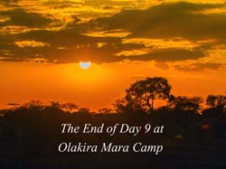 430-African Sunset  6J8E0272