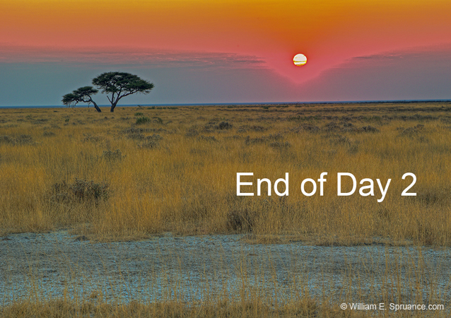 070-End of Day 2-7J8E0915