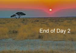 070-End of Day 2-7J8E0915