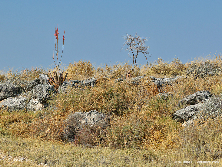 083-Landscape 70D2-2716