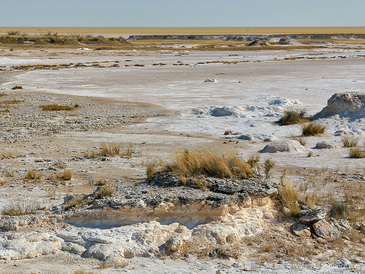 088-Etosha Pan 70D2-2726